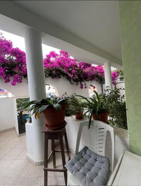 Bed and Breakfast Vivenda Viviani Praia Zewnętrze zdjęcie